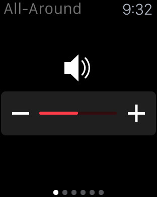 Volume Control Spotify Ipad App